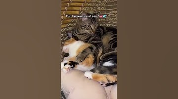 We asked Chase and he made our decision to keep Millie ❤️ #shorts