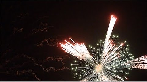 Lynch Imports - 8″ Kylin Display Shells FK-9008