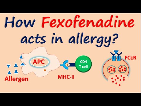 How Fexofenadine acts in allergy