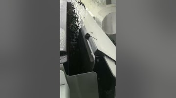 Quartz sorting by Mark color sorter coimbatore(2)