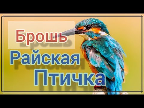 Брошь Райская птичка. Как вышить брошь птичка с перьями. Мастер класс для .Как сделать клюв птички.