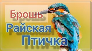 Брошь Райская птичка. Как вышить брошь птичка с перьями. Мастер класс для .Как сделать клюв птички.