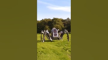 ¡El robot araña más grande del mundo!