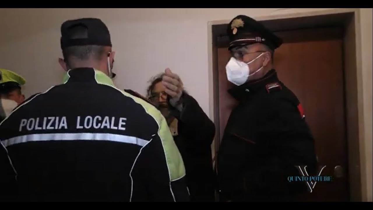 Raccatta un altro gatto, in casa ce ne sono più di 40: sfiorata la rissa situazione fuori controllo