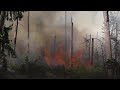 Waldbrand bei ehemaligem militrgelnde bei mnster