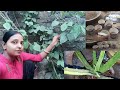तीन महीने बाद ये खुशी मिली है 🥰 उम्मीद ही नहीं थी कि इतना अच्छा होगा #vlog #pritisah