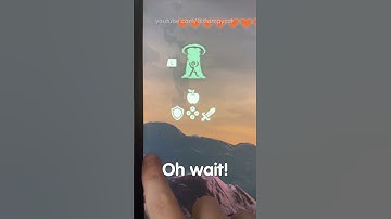 Bugs INSIDE My Moniter Screen!