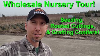 Touring a Wholesale Nursery: Seedlings, Cuttings, and Grafted Evergreen and Conifer Trees by S&J Forest Products 4,916 views 1 year ago 28 minutes