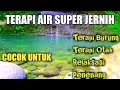 TERAPI SUARA AIR GEMERICIK | SUARA AIR MENGALIR | TERAPI SUARA AIR UNTUK BURUNG | RELAKSASI PENENANG