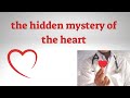 The hidden mystery of the heart  heart transplant and changes of personality