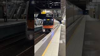 Series 2 Waratah Set B10 Arriving At St Leonards