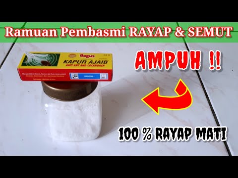 Video: Apakah semut mengusir rayap?