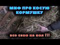 Прямые или косые? Рейки в кормушке - БЕЗ РАЗНИЦЫ!