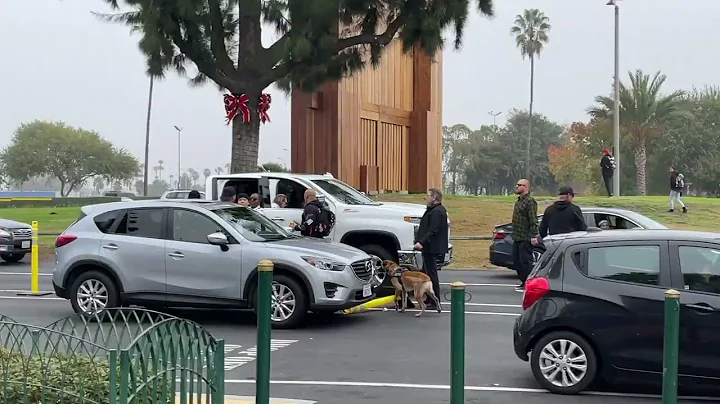 Knotts Berry Farm Fight