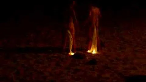 fiery phoenix part 1