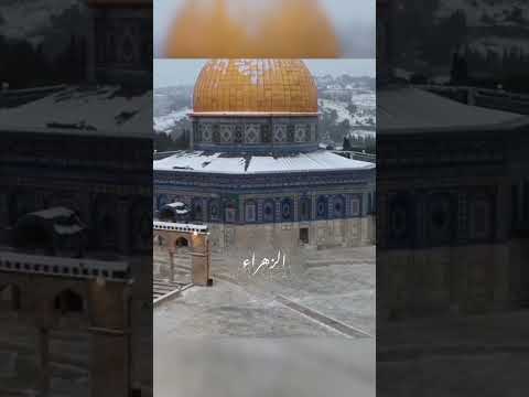 ياقدسي يانفائح نفسي ستفرج ياقدس فصبر جميل والله المستعان