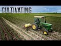 Cultivating - John Deere 4020