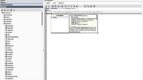 Using SAS On-Demand - 1