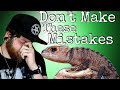 Top 5 BIGGEST Red Eyed Crocodile Skink Care Mistakes