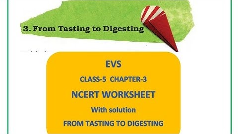 NCERT Class 5 EVS Chapter 3 |From Tasting to Digesting | EVS Class 5 Chapter 3|  WORKSHEET SOLUTION