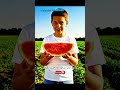 watermelon #foryou #trending #viral #love