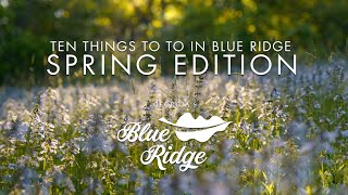 Safecation Guide to Blue Ridge, Official Georgia Tourism & Travel Website