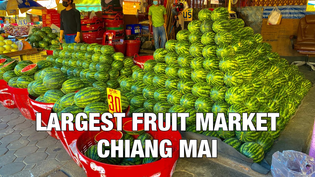 【4K】The Largest Fruit Market in Chiang Mai Fresh Fruits Market