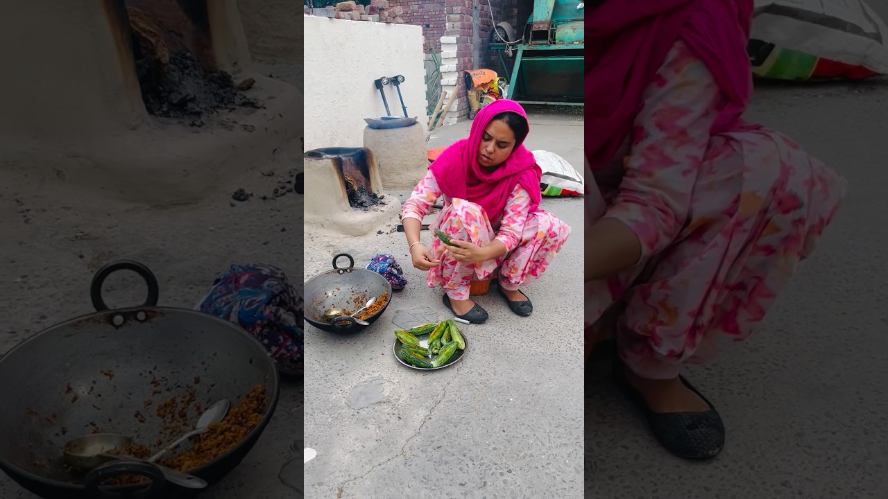 ⁣#boparaiproduction805 #minivlog #vlog #food #pindvlog #boparai family