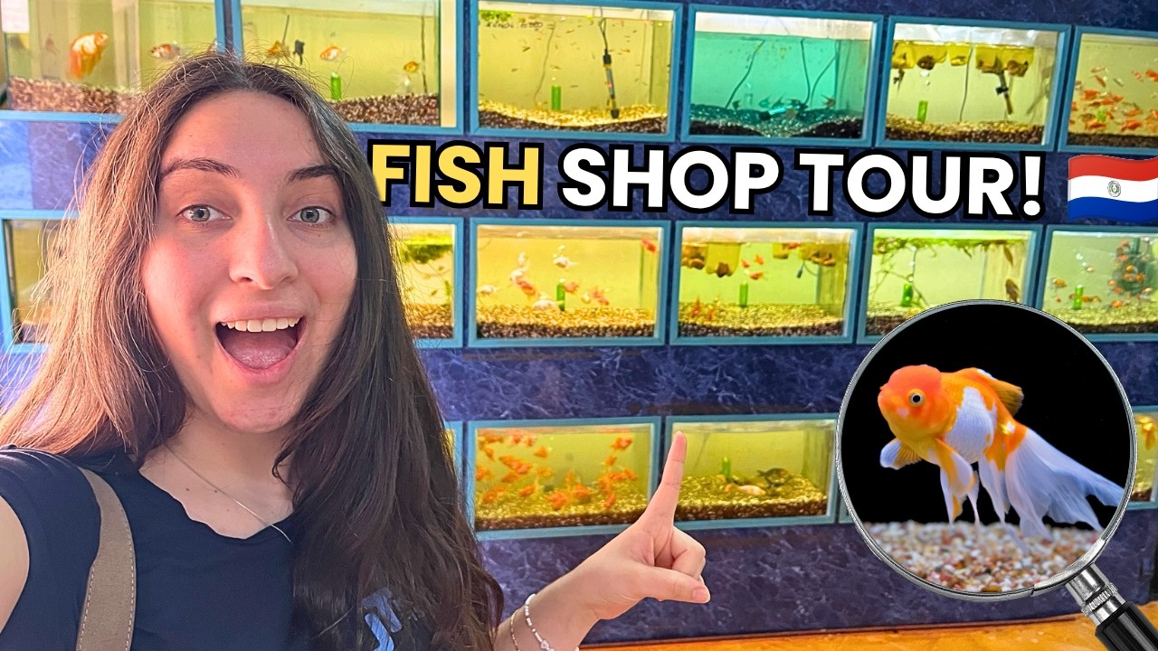 What Are FISH SHOPS Like In PARAGUAY? 🇵🇾