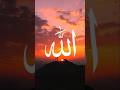 Islamic Calligraphy Art