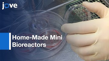 Brain Organoid Generation From Induced Pluripotent Stem Cells | Protocol Preview