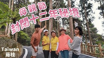 藤枝 Youtube