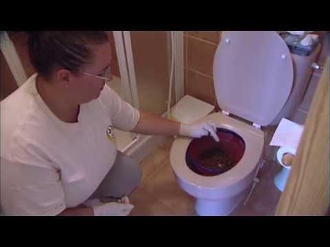 Spa Of Embarrassing Illnesses Detox Recipes mucoid plaque day 5 of cleanse after coffee Spa Of Embarrassing Illnesses Detox Recipes mucoid plaque day 5 of cleanse after coffee