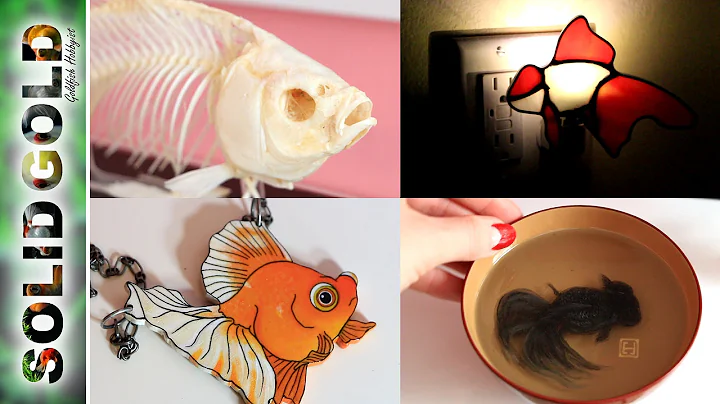 Jennie's Goldfish Stuff Collection
