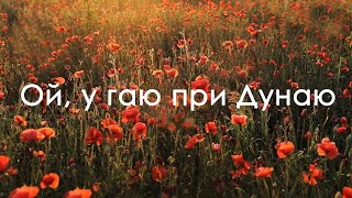 Ой у гаю при Дунаю - SV band