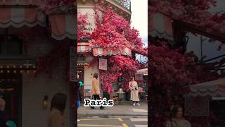 Paris, Le Marais #Foryou #Parisfrance #Shortsvideo #Shortsfeed #Shorts #Shortsviral #Shortsyoutube