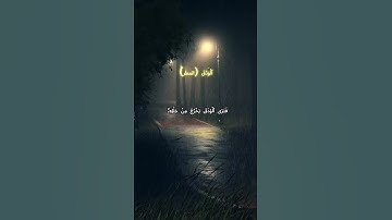 قرآن يلامس القلوب | تلاوة خاشعة من سورة الروم | #ياسر_الدوسري  #القرآن_الكريم #راحة_نفسية#quran