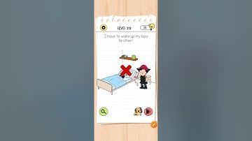 brain test 4 level 313