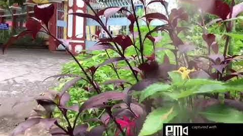 || Kỉ niệm sâu sắc về thầy cô và mái trường (2020-2021)