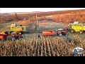 Новые Тракторы МТЗ и новые комбайны John Deere W650 завершают уборку по найму!Душевное видео!