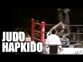 Judo vs hapkido
