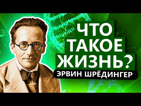 Что такое жизнь? Эрвин Шрёдингер