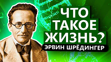 Что такое жизнь? Эрвин Шрёдингер