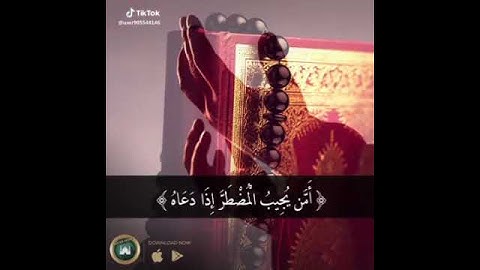 من اجمل الآيات والتلاوات والأصوات والترتيل
