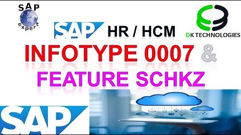 How to Configure Info types | How to Configure Features SCHKZ in Time Management | DK TECHNOLOGIES
