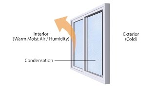 How to Prevent Window Condensation