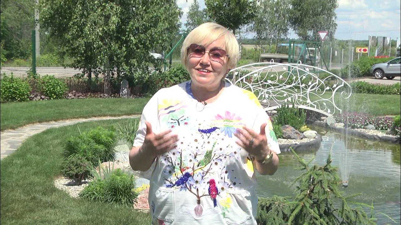 Старосельцева дачные. Тыква твердокорая дачная. Старосельцева дачные. Тыква на даче большая. Садовые советы.