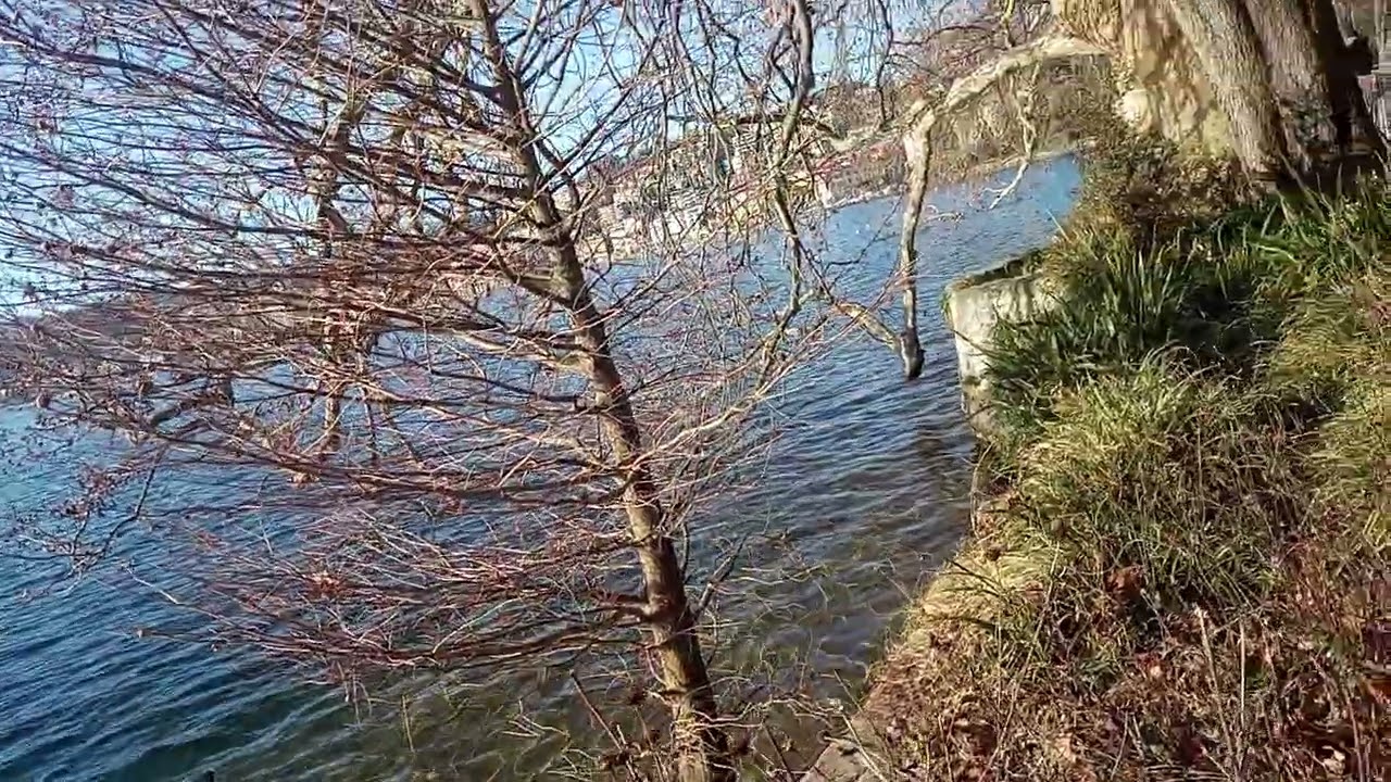 Lugano lake, Switzerland. Nature. 