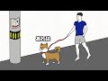 【アニメ】犬〜いぬ〜