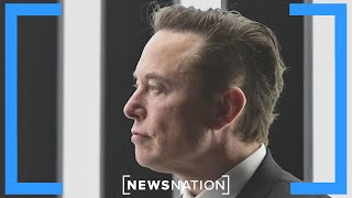 Tesla CEO Elon Musk to open university in Austin: Report | Morning in America